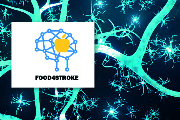 Food4Stroke, apuesta por los alimentos con efecto neuroprotector para un envejecimiento activo de la sociedad