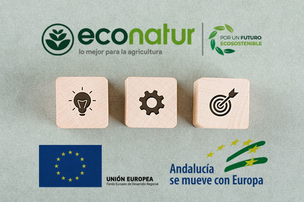 SUBVENCIÓN GLOBAL DE ANDALUCÍA COMPETITIVIDAD-INNOVACIÓN-EMPLEO DE ANDALUCÍA